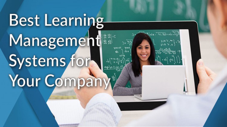 Laravel Learning Management System (4)