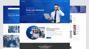 Laravel Multipurpose Business Website (1)